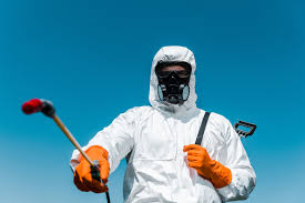 Best Lawn Pest Control  in Dekal, IL